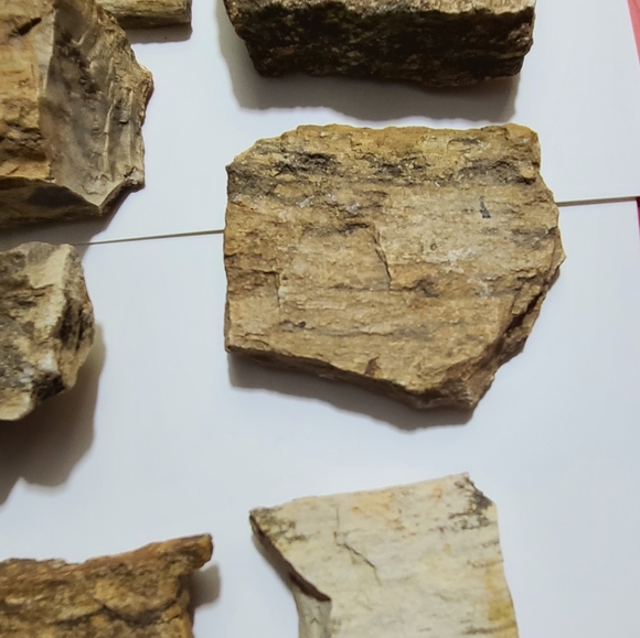 Petrified Wood is very hard as rock fossil - Picture 3 of 5